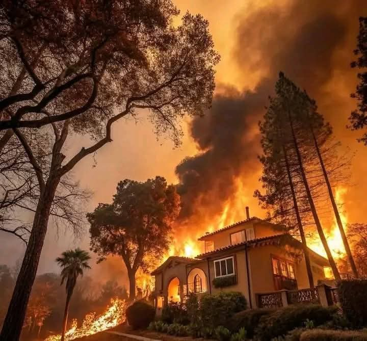 Los Angeles wildfire