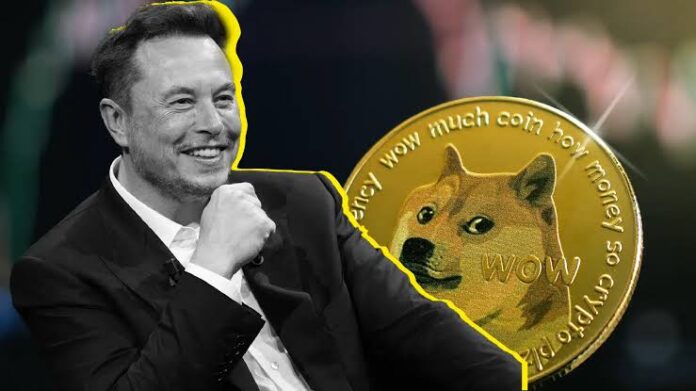 Federal Judge Blocks Elon Musk’s DOGE Access to Treasury Systems