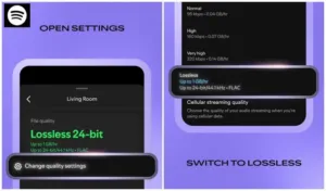 Spotify Introduces Lossless Audio for Premium Subscribers 3 Setting up Lossless AudioImage credit: Comical Penguin on YouTube