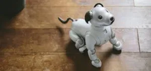 A cute robot dogImage source: www.dreamstime.com