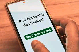 28 Million Nigerian Accounts Deleted by Tech Giants Worldwide Account Deactivated Shutterstock.com