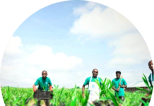 How Agrovesto is Digitizing Nigeria’s Smallholder Farmers in Nigeria Farmers in the field Image source: Agrovesto