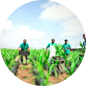 Farmers in the field Image source: Agrovesto