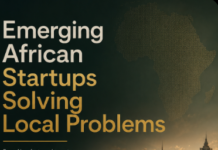 5 Emerging African Startups Solving Local Problems Right Now 5 Emerging African Startups Solving Local Problems Right Now
