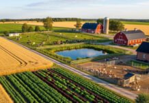 Nigeria’s Biggest Corporate Ventures Strategically Funding Agritech Startups A farm: Agritech startups Image source: Magnific.com