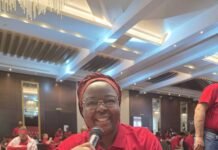 PromisePoint and its Founder, Bukola Farinde are Pushing Transformation in Cassava Processing and Farming Madam Bukola Farinde, Founder of PromisePoint Image source: Bukola Farinde's LinkedIn profile