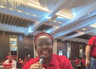 Nigerian Agritech, PromisePoint and its Founder, Bukola Farinde are Pushing Transformation in Cassava Farming Madam Bukola Farinde, Founder of PromisePoint Image source: Bukola Farinde's LinkedIn profile