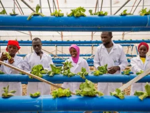 How Startups Can Thrive Doing Vertical Farming In Nigeria 1 Vertical farming operationsImage source: The Technology Center