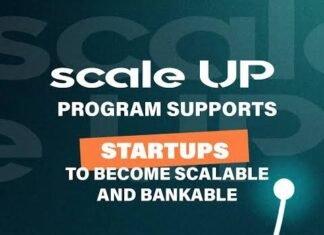 iDICE and Startup Bridge: Nigeria’s Twin Programs Supporting Startup Scaling Operations Scaling Operations Programs for Startups