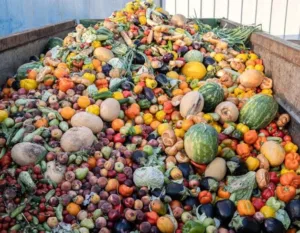Post-harvest losses: agtech Image source: Green City Times