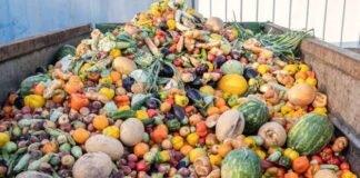 Why Post-Harvest Loss Tech is the Smartest Investment for African AgTech Post-harvest losses: agtech Image source: Green City Times