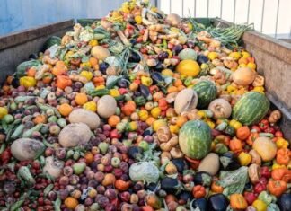 Why Post-Harvest Loss Tech is the Smartest Investment for African AgTech Post-harvest losses: agtech Image source: Green City Times