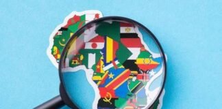 The Role Of Diaspora Funding In Nigeria’s Startup Ecosystem Diaspora Funding Image source: LinkedIn