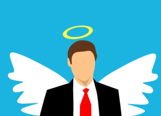 A Guide To Attracting Angel Investment For Nigerian Startups Angel Investor Image source: Octavian Patrascu