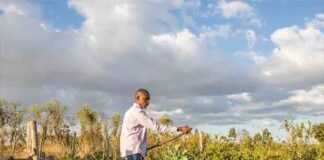 SunCulture Closes Landmark $10 Million Deal To Unlock Climate Finance Across Africa Sunculture solar irrigation Image source: Techmoran: https://techmoran.com/2025/09/09/kenyas-sunculture-raises-5-million-to-expand-rural-water-access-in-africa/?amp=1