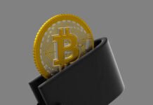 Nigeria Moves to Protect Crypto Users by Requiring Firms to Keep Most Customer Assets Offline Crypto wallet Image source: https://stock.adobe.com/it/search?k=bitcoin+wallet