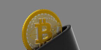 Nigeria Moves to Protect Crypto Users by Requiring Firms to Keep Most Customer Assets Offline Crypto wallet Image source: https://stock.adobe.com/it/search?k=bitcoin+wallet