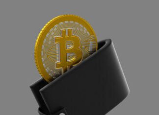 Nigeria Moves to Protect Crypto Users by Requiring Firms to Keep Most Customer Assets Offline Crypto wallet Image source: https://stock.adobe.com/it/search?k=bitcoin+wallet